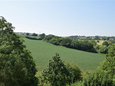 Picture 14